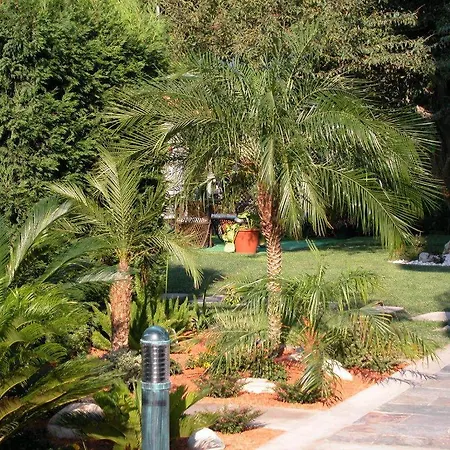 Pineiro 2 Estrellas Superior 2*