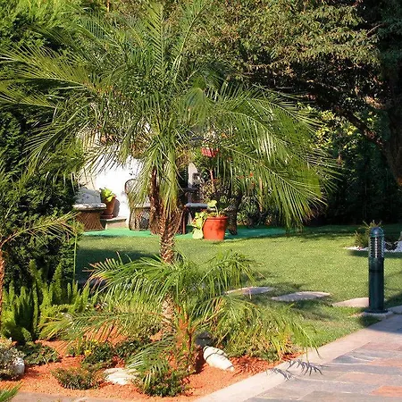 ホテル Pineiro 2 Estrellas Superior 2*