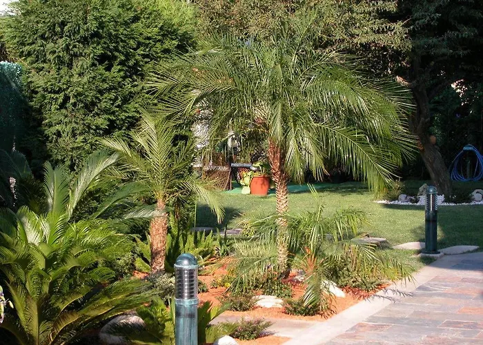 Pineiro 2 Estrellas Superior 2*